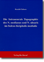 : Die intraneurale Topographie des N. medianus und N. ulnaris im Sulcus bicipitalis medialis