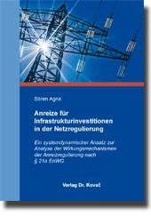 Anreize für Infrastrukturinvestitionen in der Netzregulierung (Dissertation)