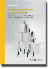 Doktorarbeit: Beratungsprojekte als Lernmöglichkeit