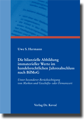 Dissertation: Die bilanzielle Abbildung immaterieller Werte im handelsrechtlichen Jahresabschluss nach BilMoG
