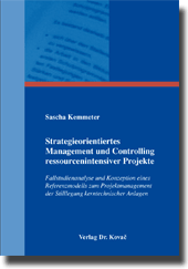 Strategieorientiertes Management und Controlling ressourcenintensiver Projekte (Dissertation)